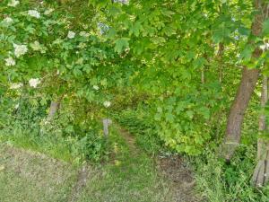 Holiday Home Dvonta - 170m from the sea by Interhome