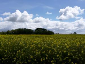 Druidenhain Hof Neudamm