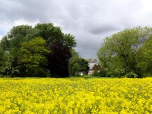 Druidenhain Hof Neudamm