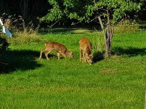 Holiday Home Asmine - 670m from the sea by Interhome