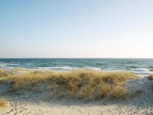 Apartment Atena - 250m from the sea by Interhome