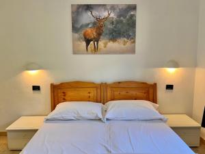 Appartamento Andromeda