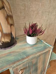 Apartament Kam Zabobrze