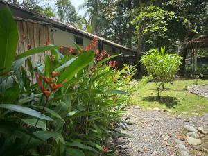 Almendros de Osa Lodge