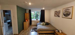 One room apartment near Xiaomi Arena