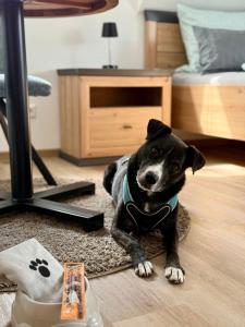 Apartment Chardonnay in Seenähe