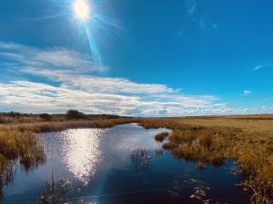 Holiday Home Blakke - 200m from the sea by Interhome