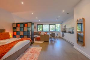 Large Luxury Studio Apartment