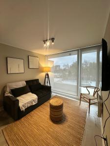 Iconico y Central dpto en Distrito icono