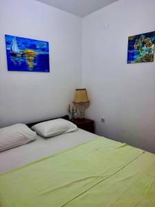 Igalo Apartman Despich