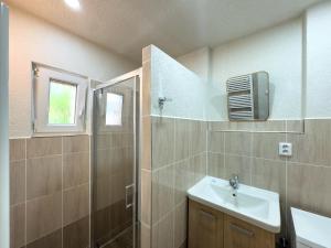 Apartmán u Rádi - Desná v Jizerských horách