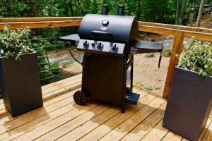 1 of a kind! Largest Transparent Luxe Dome in USA!