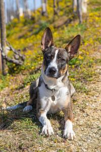 Petit appartement chez lhabitant esprit pension de famille