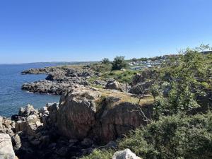 Apartment Thorvor - 70m from the sea by Interhome