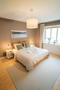 Large City-Centre Apartment