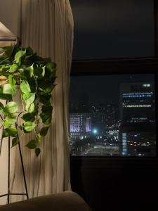 Mirante do Vale - Centro Histórico de São Paulo