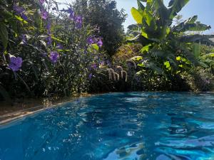 A historic STONE VILLA with private garden, terrace and private pool just for you