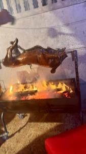 Bianka Hostel Spa & Car Rent Budapest