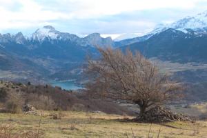 Maison Dhôte -Au Balcon De LObiou