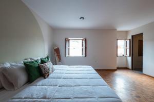 Beautiful House in Historic Center 5 bedrooms