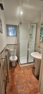 Family and dog-friendly holiday home - 134 Hengar Manor