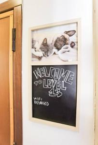 Davide Host Level 13 Ciny