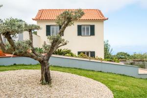 Palheiro Simone by Homie