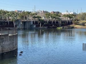 Summer Grad Dates Open, Campus Close, Pet Friendly