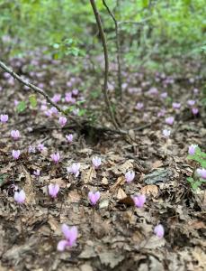 CASA FUGIANO, Holiday Apartments