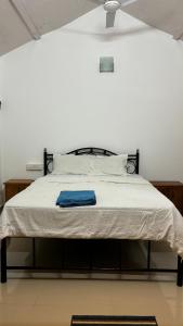 CSF Boutique Homestay