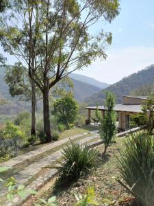 El Siambon Los Aromos