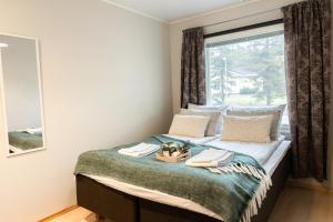 Northern Lights Kota Stay By BookLapland