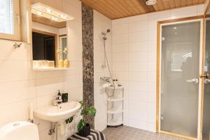 Northern Lights Kota Stay By BookLapland