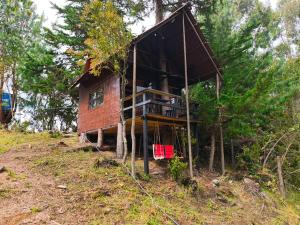 Cabaña sesquile del arbol