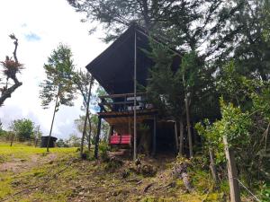 Cabaña sesquile del arbol