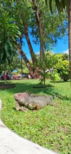 NUEVA ADM- Hotel Occidental