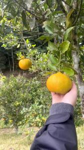 Sítio Refúgio das Flores