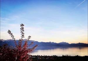 Ravissant appartement vue lac Lutry Lausanne avec terrasse