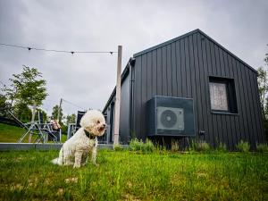 GoodMood Bieszczady - ogrzewany domek całoroczny