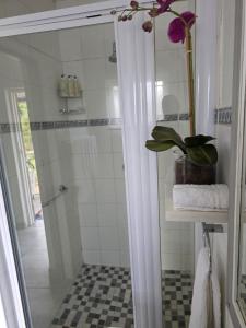 Pennington Splendor Apartment