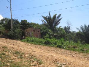 Casa de Alfonso y Bertha