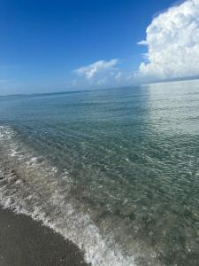 LE BLEU Charming Poolside Retreat