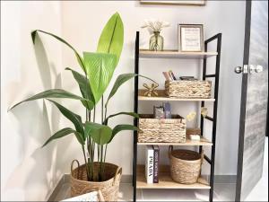 Lujosa Casa a 5min El Paseo Shopping Costa Oro