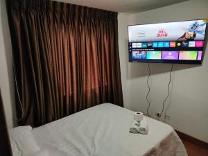 Acogedor Departamento entero en Chorrillos