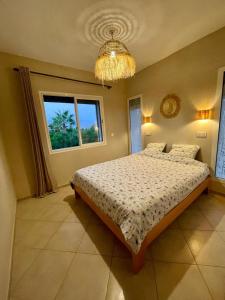 Sun, Pool & Beach - Imi Ouaaddar Getaway