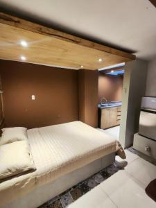 Departamento zona centro