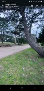Cabaña en gesell