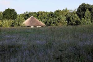 Sauseriai - Inspired by Nature S2