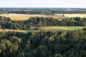 Sauseriai - Inspired by Nature S2