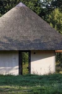 Sauseriai - Inspired by Nature S2